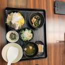 수원-0028 | 2025.03.04~03.10 마쓰야마 히로시마 여행기(3)