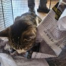 장기가축병원 이미지