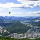 행정사 사무소 늘좋은 이미지