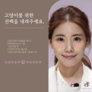 퍼(Furr)펙트그루밍 | 광교 고양이 미용 퍼펙트그루밍에서 무마취 교감미용해요.