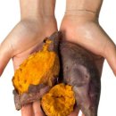 꿀밤농장 이미지