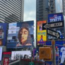 드래곤민박 | [신혼여행]뉴욕 칸쿤 LA 라스베가스 후회없는 신혼여행 일정 공유