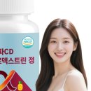 더블유더블유씨디