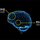 휴먼솔루션 이미지