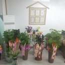 속초대복부동산공인중개사사무소 이미지