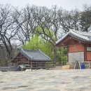신선오리 이미지