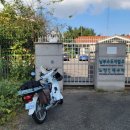 노들나루공원 | 동작구 반려동물 명랑운동회 다녀온 후기 | 강아지 교육 훈련 기업 브리딩, 노들나루공원