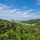(주)메타스