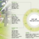 그린로컬푸드 이미지