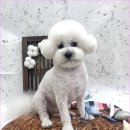 천천히 - 군위군 치산효령로 2374 | 천천히