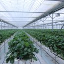 늘품농장 이미지