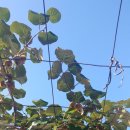 선경 사우나 이미지