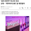 2024년 10월 16일 상한가 종목 비만치료제 관련주 상승