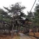 한천 농장 이미지