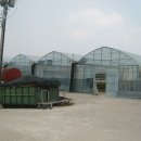 산청지리산약초 Daum카페