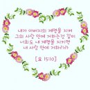 [ICB MDS 9-10-1] 요한복음 15장 10절 이미지