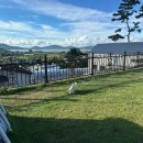 강화도펜션 AND | 강화도 반려견 동반 여행, 그리고 AND 펜션에서 누리는 특별한 여유