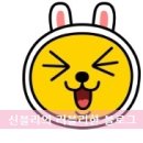(주)조흥지에프(GF) | 신블리 구매후기) 더쉴 미즐 코스메틱 센텔라 크림 / 여신살결 크림 / EGF 재생크림 보습크림 추천