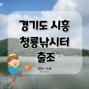 경기도 시흥 청룡낚시터 잡이터 출조 후기