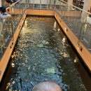 율하5로L 이미지