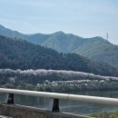 청평면사무소 (2층) 이미지