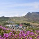 국민여가캠핑장 주차장 이미지