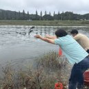 금산이네 이미지