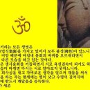 수희 이미지