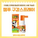 베르데약국 | 챔푸 구강 스프레이 어린이도 사용하는 챔프 인후염 구내염 스프레이