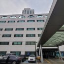 청년김밥 이미지