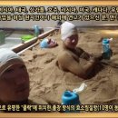 효소방 네이버블로그