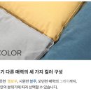 고양이 쿠션 방석 / 펫소드 Pethod P-cushion Yellow