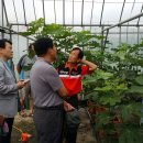 김정자농장 이미지