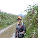 웅포곰개나루 이미지