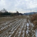 성상1리마을회관 이미지