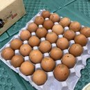 달맞이황토불한증막 이미지