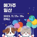 펫365동물병원 이미지