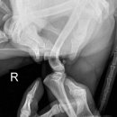 삼화 우수한 동물병원 이미지