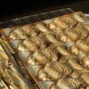 피자파는집서수원점 | 수원 두바이 붕어빵으로 더 유명한 오목천역 카페 쉼카페, 심지어 반려동물 동반 가능