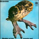Brainchild(Healing_of_the_Lunatic_Owl).jpg 이미지