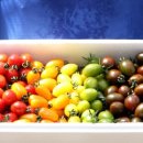 해밀농장 이미지