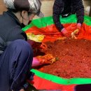 마이산뜰아래 이미지