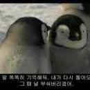 장전스크린골프 이미지