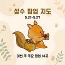 티타운빌딩 | [공지] 2026년 5월 4주차 성수 팝업 지도｜주요 팝업 14개 포함 성수 67개 팝업 총정리