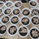 구이노인복지센터 이미지