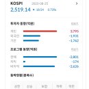 종합뉴스채널