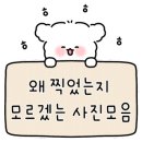 정안재 이미지