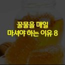 꿀물 - 부산진구 서면로 29-10 | 꿀물