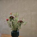 제주 서귀포 산방산 이미지