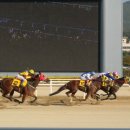 에이스 스크린 이미지